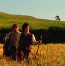 Left the Shire